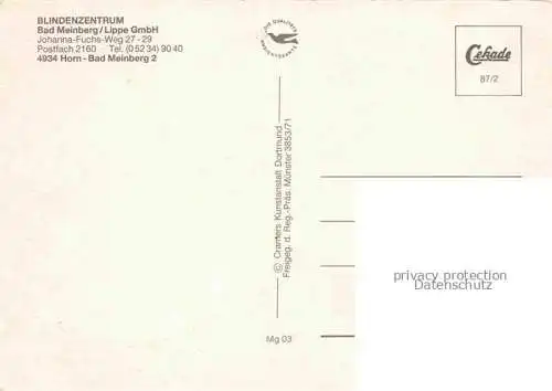 AK / Ansichtskarte Horn-Bad Meinberg Blindenzentrum Fliegeraufnahme