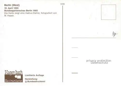 AK / Ansichtskarte BUGA Bundesgartenschau Berlin Kaktus Dahlie 
