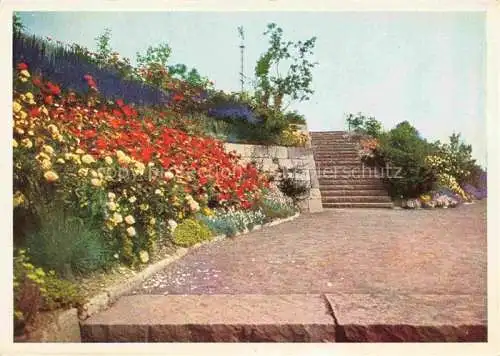 AK / Ansichtskarte BUGA Bundesgartenschau Kassel Rosenhang Ausstellungsturm