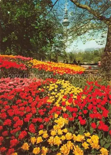 AK / Ansichtskarte BUGA Bundesgartenschau Mannheim Tulpenschau Luisenpark Fernsehturm 