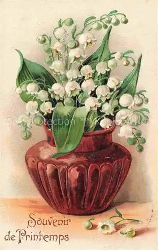 AK / Ansichtskarte Maigloeckchen Lily of the Valley Muguet Mughetto-- Fruehlings Blumen
