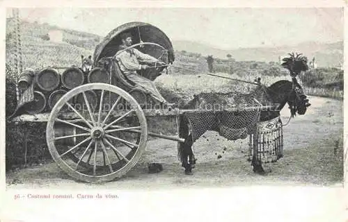 AK / Ansichtskarte Wein Wine Vin Vino-- Pferd Pferdekutsche