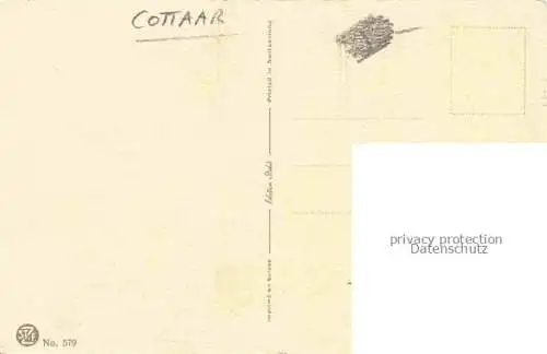 AK / Ansichtskarte COTTAAR Piet Kuenstlerkarte Nr. 579 Obst Apfel Birne 