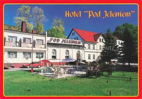 AK / Ansichtskarte Bad Flinsberg Swieradow Zdroj PL Hotel Pod Jeleniem