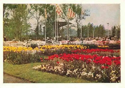 AK / Ansichtskarte BUGA Bundesgartenschau Koeln Rhein Musikpavillon Blumen 