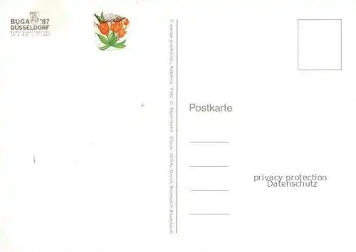 AK / Ansichtskarte BUGA Bundesgartenschau Duesseldorf Tulpen 