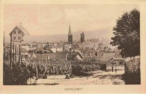 AK / Ansichtskarte Siegolsheim Sigolsheim Ribeauville 68 Haut-Rhin Partie am Ortseingang