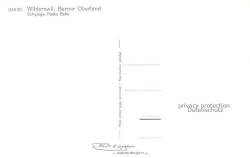 AK / Ansichtskarte Wilderswil Wilderswyl BE Panorama Berner Oberland Schynige Platte Bahn Zahnradbahn