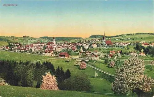 AK / Ansichtskarte Degersheim  Toggenburg SG Panorama