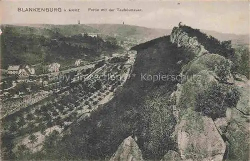 AK / Ansichtskarte Blankenburg Harz Partie mit der Teufelsmauer