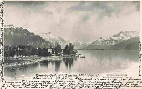 AK / Ansichtskarte Tour-de-Peilz La VD Panorama Lac Léman et Dent du Midi