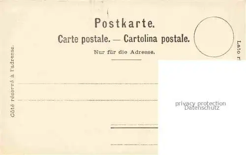 AK / Ansichtskarte Montana-sur-Sierre VS Hôtel du Parc et les Alpes