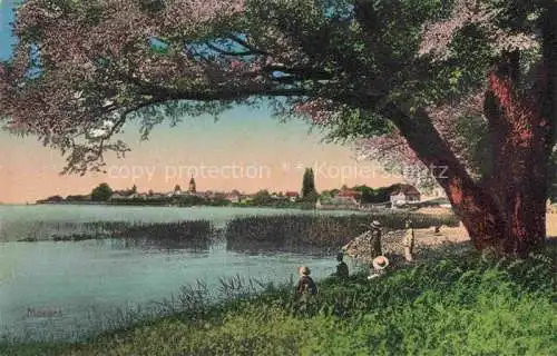 AK / Ansichtskarte MORGES VD Aux bords du Lac Léman Uferpartie am Genfersee