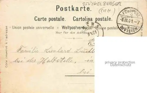 AK / Ansichtskarte STueCKELBERGER Wilhelm (1867-1926) Kuenstlerlitho Schweiz Schweiz Armee 