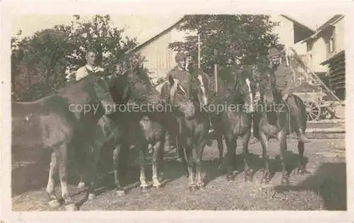 AK / Ansichtskarte Militaria Schweiz Pferde