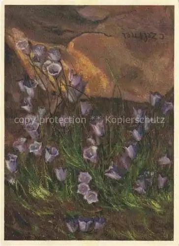 AK / Ansichtskarte ZELTNER C. Kuenstlerkarte Nied. Glockenblume 