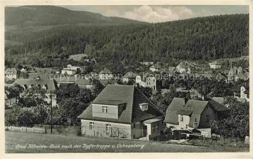 AK / Ansichtskarte Bad Altheide Polanica-Zdroj PL Ortspartie mit Toepferkoppe und Ochsenberg