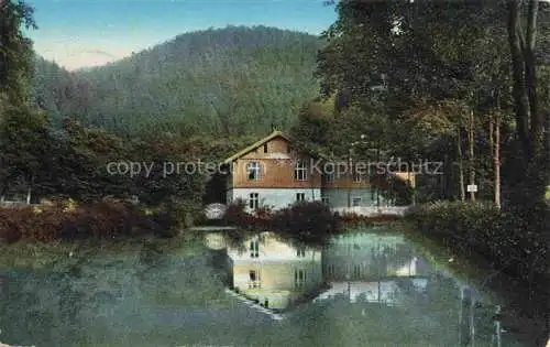 AK / Ansichtskarte Bad Reinerz Niederschlesien Duszniki-Zdroj PL Alte Schmelze Gondelteich