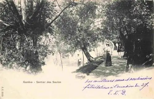 AK / Ansichtskarte GENEVE Genf GE Sentier des Saules