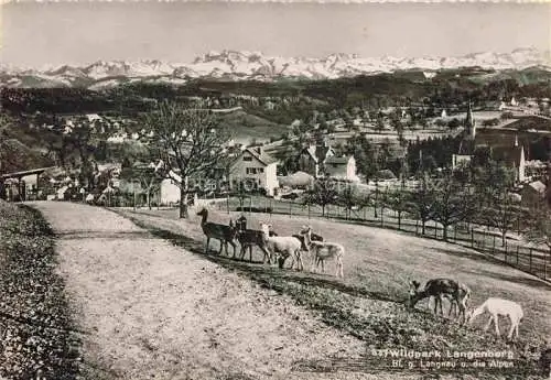 AK / Ansichtskarte Langnau Albis ZH Wildpark Langenberg Alpenblick