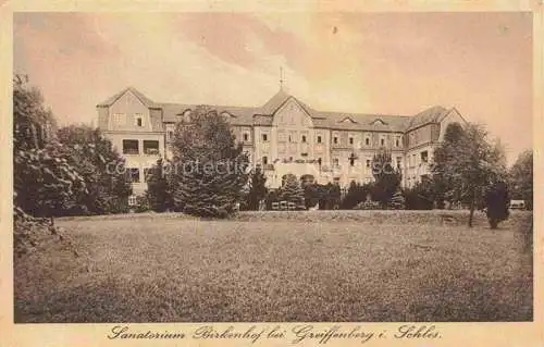 AK / Ansichtskarte Greiffenberg  Lwowek Slaski Schlesien PL Sanatorium Birkenhof