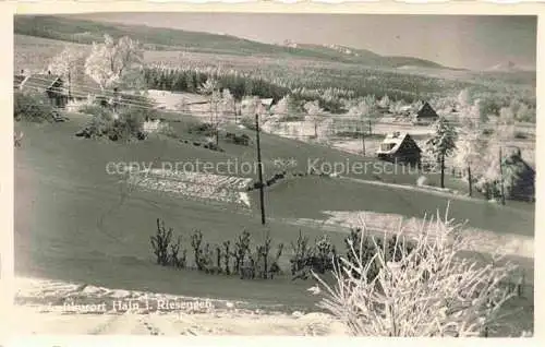 AK / Ansichtskarte Hain  Giersdorf Riesengebirge Podgorzy PL Panorama