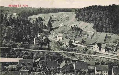 AK / Ansichtskarte Ruebeland Elbingerode Harz Panorama