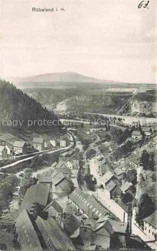 AK / Ansichtskarte Ruebeland Elbingerode Harz Panorama