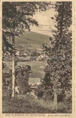 AK / Ansichtskarte Bad Flinsberg Swieradow Zdroj PL Blick vom Naumberg