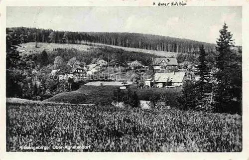AK / Ansichtskarte Ober-Agnetendorf  Jagniatkow Jelenia Gora Riesengebirge PL Panorama