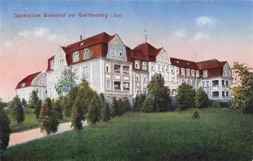AK / Ansichtskarte Greiffenberg  Lwowek Slaski Schlesien PL Sanatorium Birkenhof