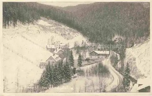 AK / Ansichtskarte Bad Reinerz Niederschlesien Duszniki-Zdroj PL Schmelztal Panorama