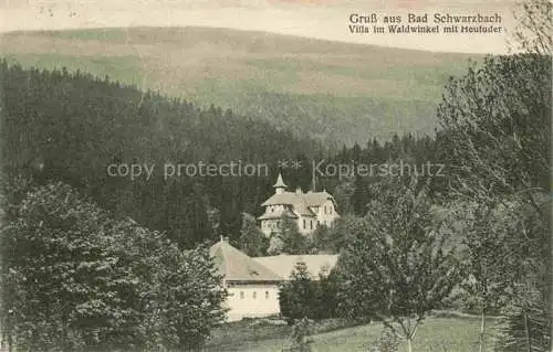 AK / Ansichtskarte Bad Schwarzbach Flinsberg Isergebirge Swieradow Zdroj Bad PL Villa im Waldwinkel mit Heufuder