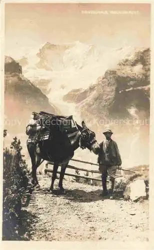 AK / Ansichtskarte Grindelwald BE Lasttier Faulhornpost Berner Alpen