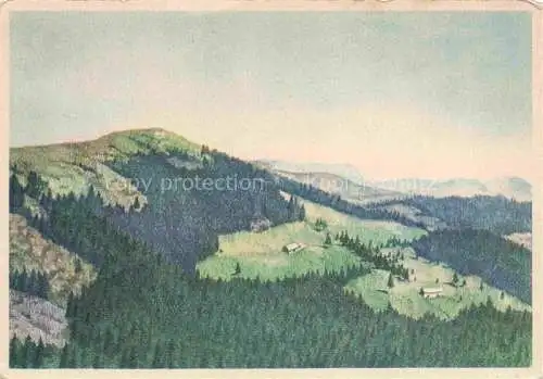 AK / Ansichtskarte DIETERLEN J. Kuenstlerkarte Crete du Tanet Vosges 