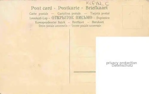 AK / Ansichtskarte Klein Catharina Kuenstlerlitho Pfirsiche 