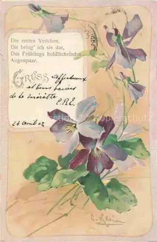 AK / Ansichtskarte Klein Catharina Kuenstlerlitho Gruss Veilchen 