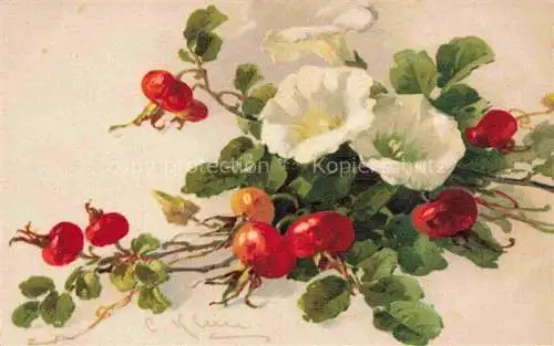AK / Ansichtskarte Klein Catharina Kuenstlerlitho Blumen