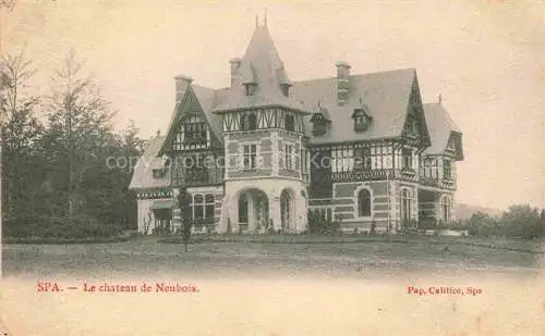 AK / Ansichtskarte SPA Belgium Château de Neubois