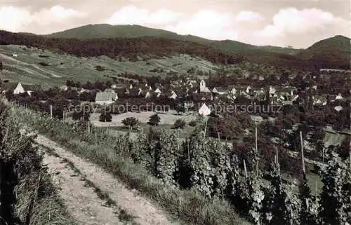 AK / Ansichtskarte Muellheim Baden BW Panorama Blick zum Feldberg
