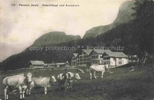 AK / Ansichtskarte Axalphorn 2321m Brienz BE Pension Axalp Viehweide Oetschikopf und Axalphorn