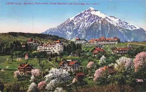 AK / Ansichtskarte SPIEZ Thunersee BE Bahnhof Parkhotel Hotel Bahnhof und Schoenegg Blick gegen Niesen