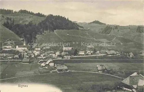 AK / Ansichtskarte Signau BE Panorama