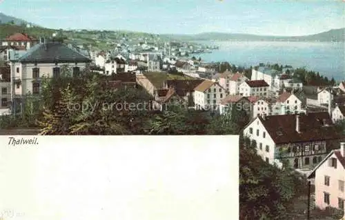AK / Ansichtskarte Thalweil THALWIL ZH Panorama Blick auf den Zuerichsee