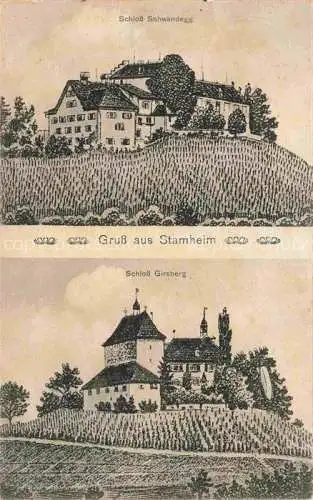 AK / Ansichtskarte Stamheim Waltalingen ZH Schloss Schwandegg