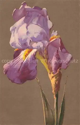 AK / Ansichtskarte Klein Catharina Kuenstlerlitho Blueume 