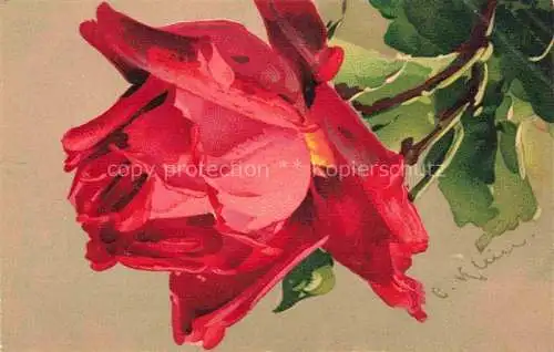 AK / Ansichtskarte Klein Catharina Kuenstlerlitho Rose Rot 