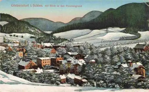 AK / Ansichtskarte Goerbersdorf  Sokolowsko Schlesien PL mit Blick in den Freudengrund