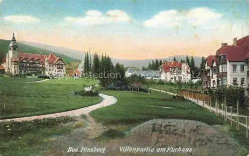 AK / Ansichtskarte Bad Flinsberg Swieradow Zdroj PL Villenpartie am Kurhaus