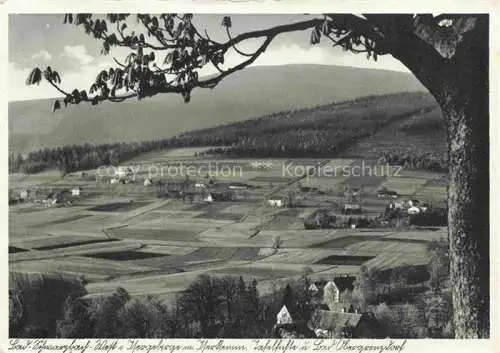 AK / Ansichtskarte Bad Schwarzbach Flinsberg Isergebirge Swieradow Zdroj Bad PL Iserstamm Tafelfichte und Bad Obergrenzdorf